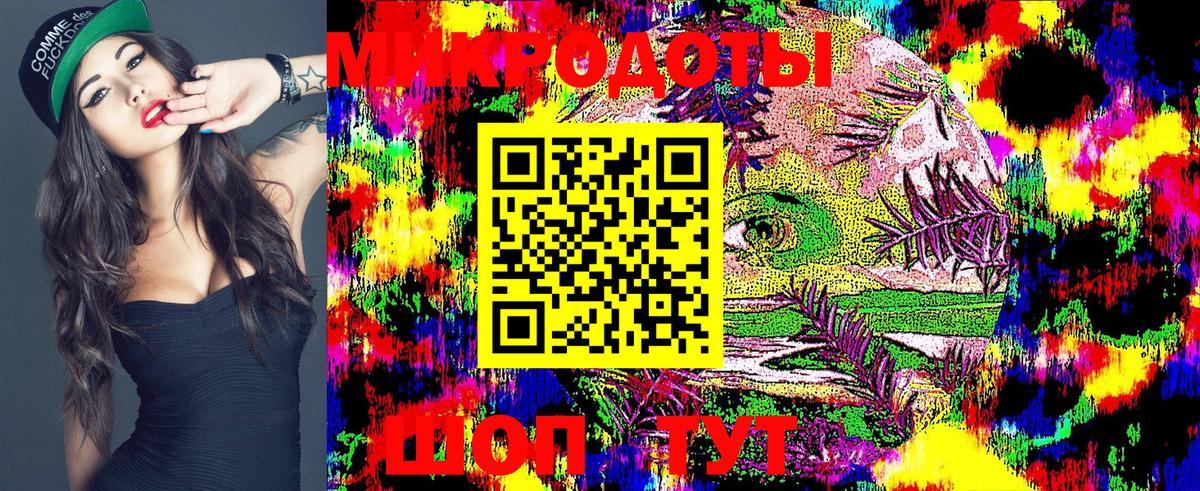 Галлюциногенные грибы Psilocybe  продажа наркотиков  Ярцево  Вход с VPN  Псилоцибиновые грибы ЛСД 